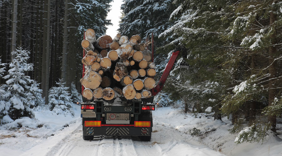 Preventing Logging Truck Rollovers