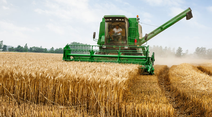 Agriculture Risk: How To Build a Business Continuity Plan