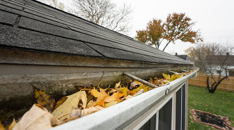 Tips for Home Maintenance in the Fall